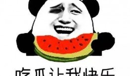 黑料是什么 朝阳吃瓜群众什么意思,网络舆论场中的暗语解码